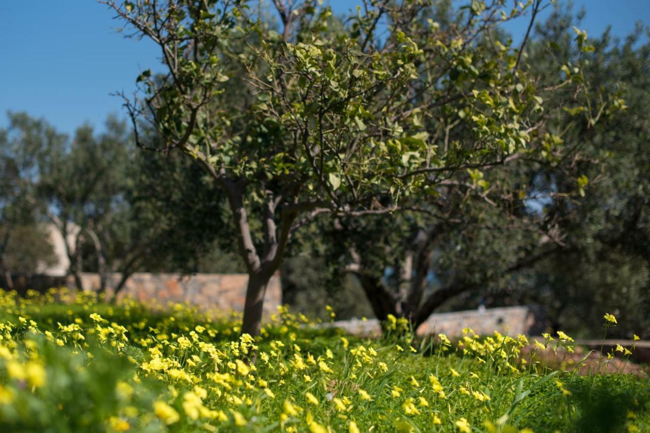 فيلا Elounda Dream House المظهر الخارجي الصورة